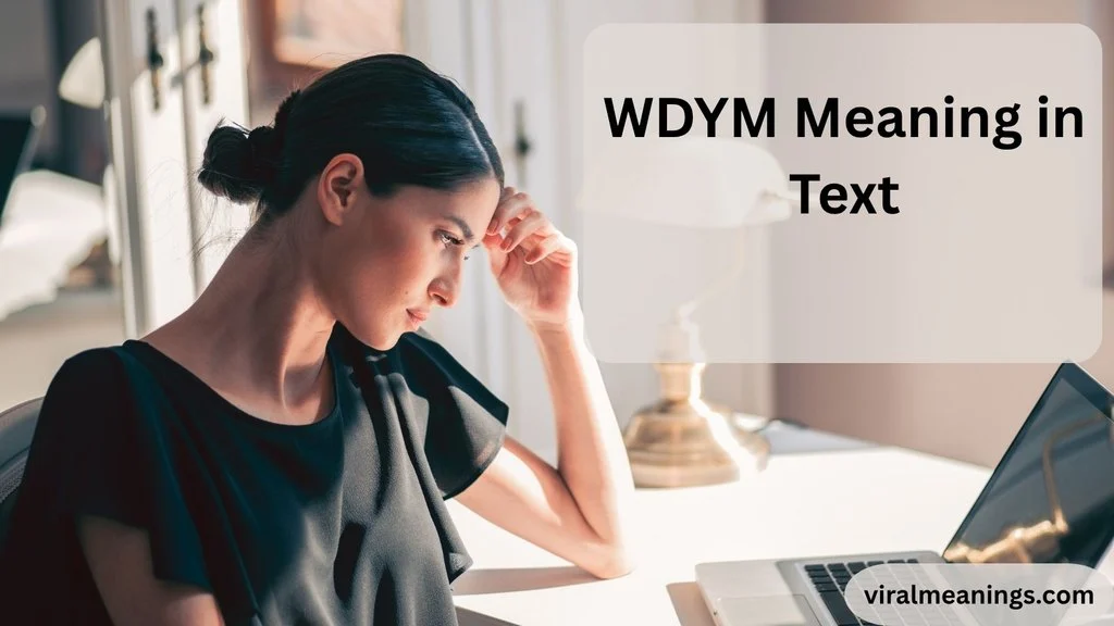 WDYM Meaning in Text